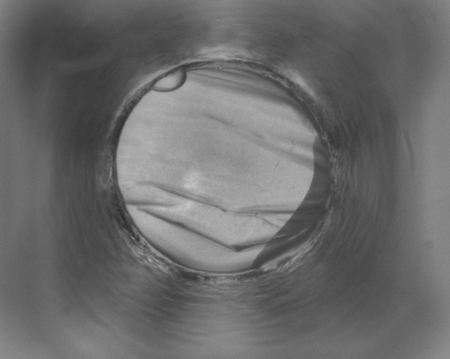 X0000068821358200606021606