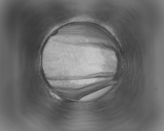 X0000068821366200606021606