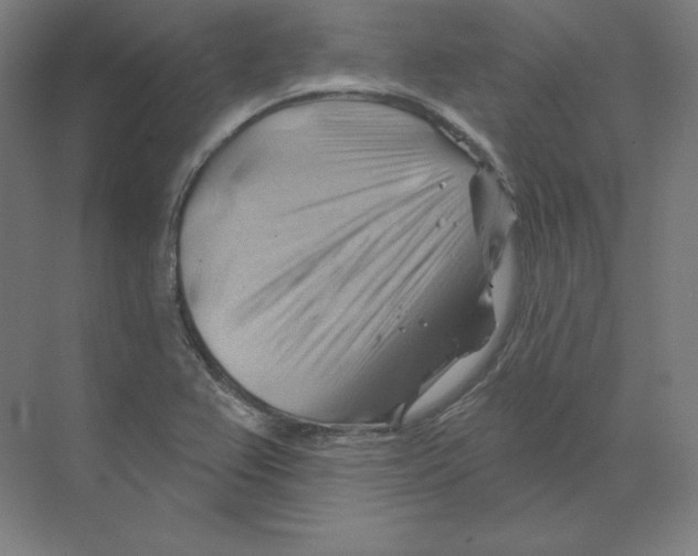 X0000068821367200606021606