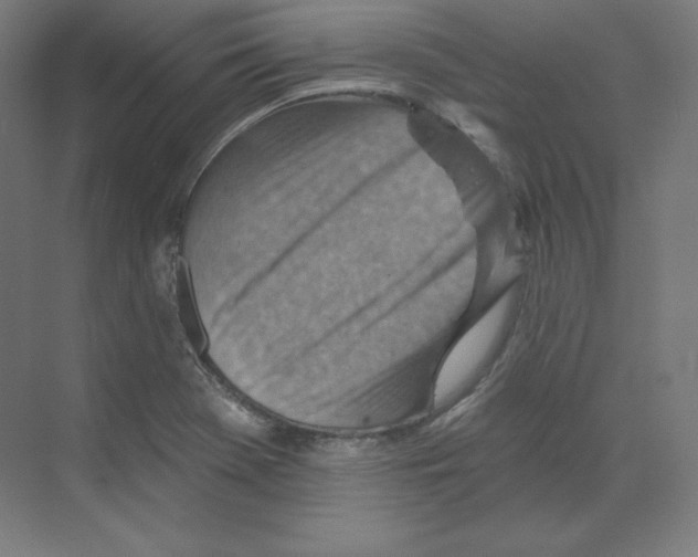 X0000068821369200606021606