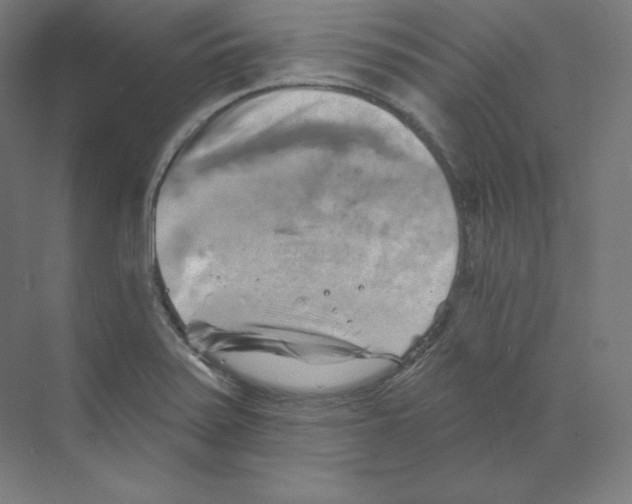 X0000068821371200606021606