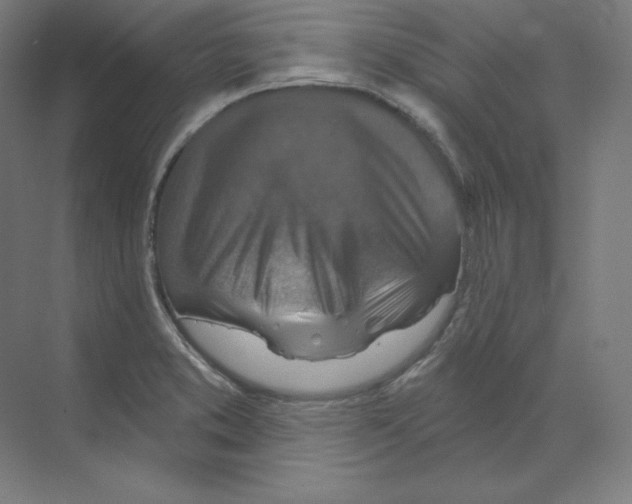 X0000068821373200606021606