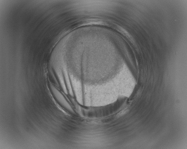 X0000068821377200606021606