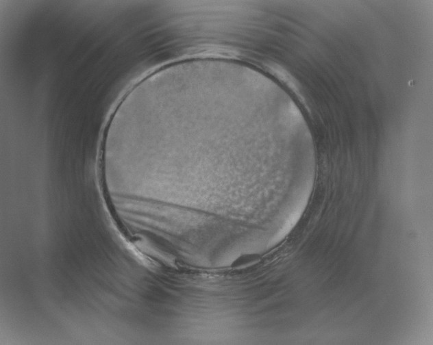 X0000068821379200606021606