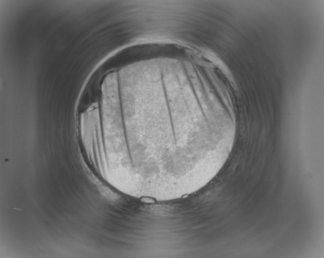 X0000068821380200606021606