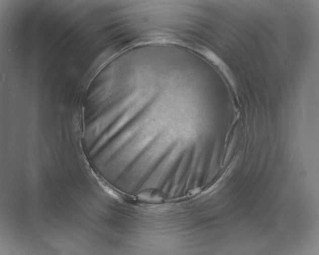 X0000068821385200606021606