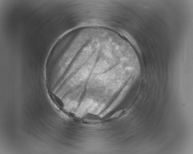 X0000068821388200606021605