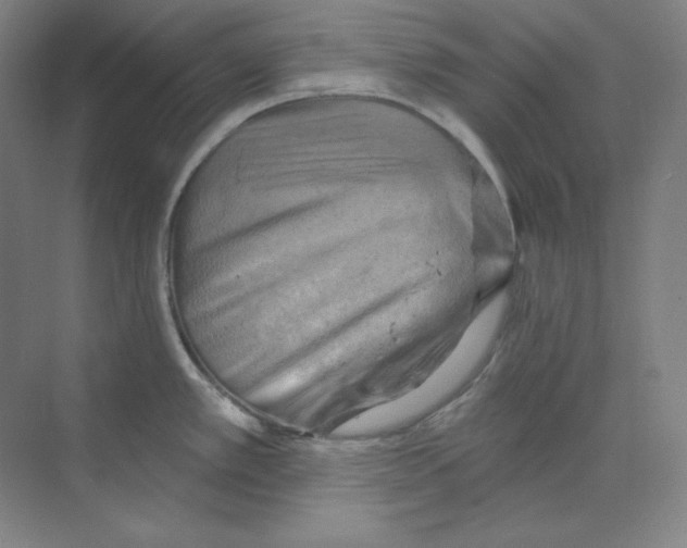 X0000068821389200606021605