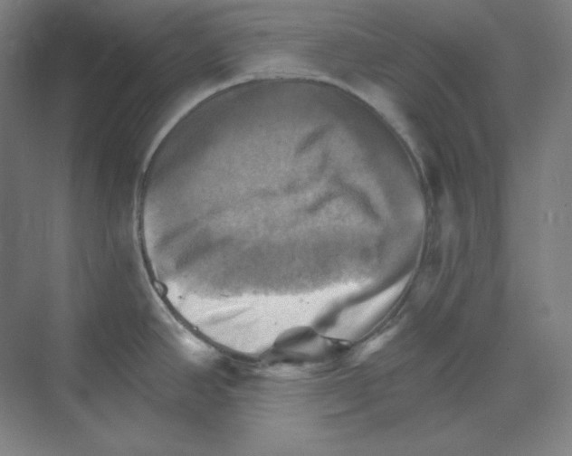 X0000068821390200606021605