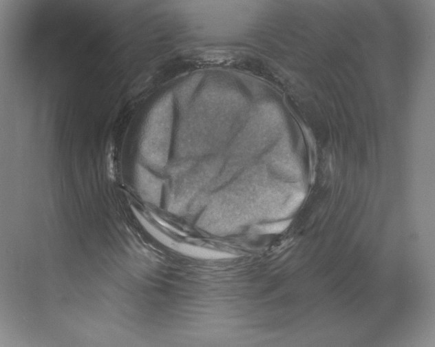 X0000068821394200606021605