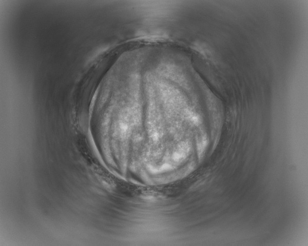 X0000068821398200606021605