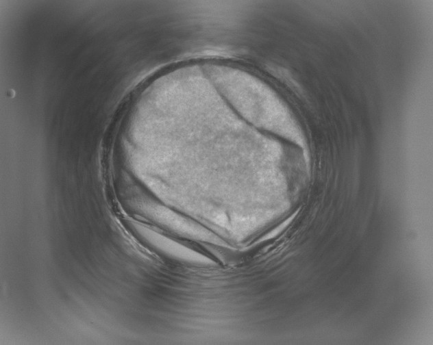 X0000068821404200606021605