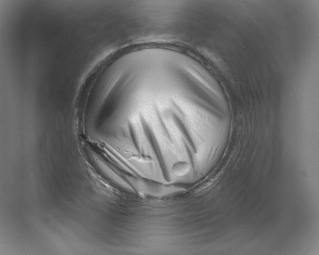 X0000068821406200606021605