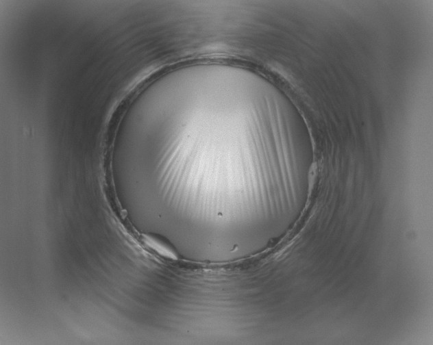 X0000068821410200606021605