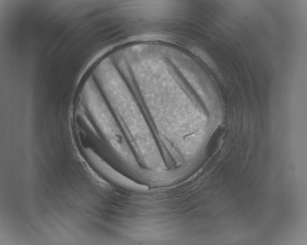 X0000068821420200606021605