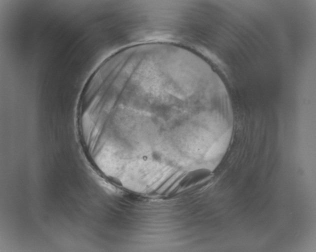 X0000068821423200606021605