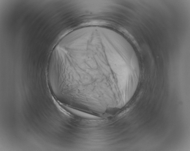 X0000068821425200606021605