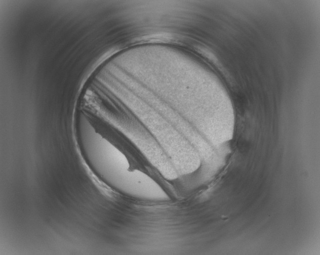 X0000068821426200606021605