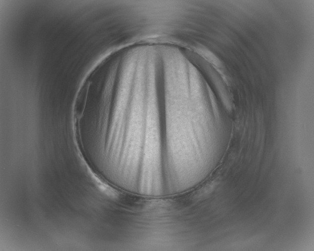 X0000068821430200606021605