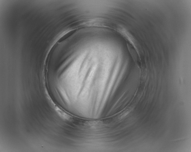 X0000068821434200606021605