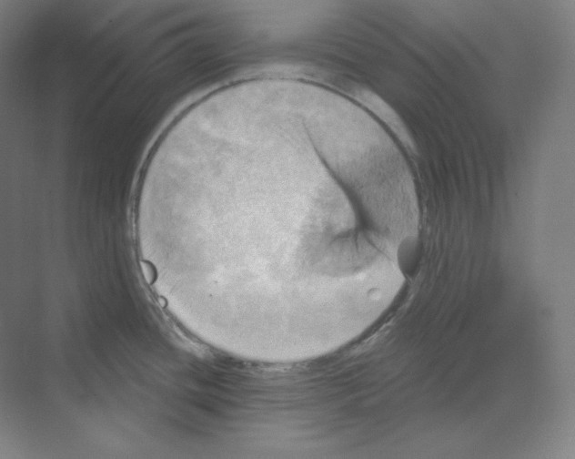 X0000068821436200606021605
