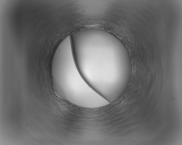 X0000068821441200606021605