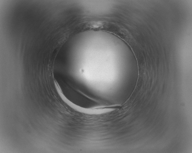 X0000068821442200606021605