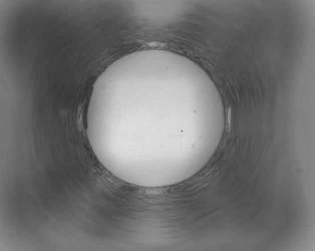 X0000068821443200606021605