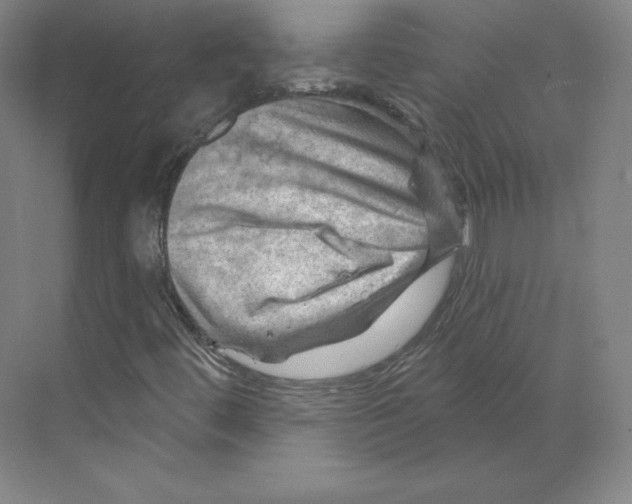 X0000068821444200606021605