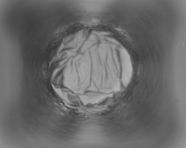 X0000068821445200606021604
