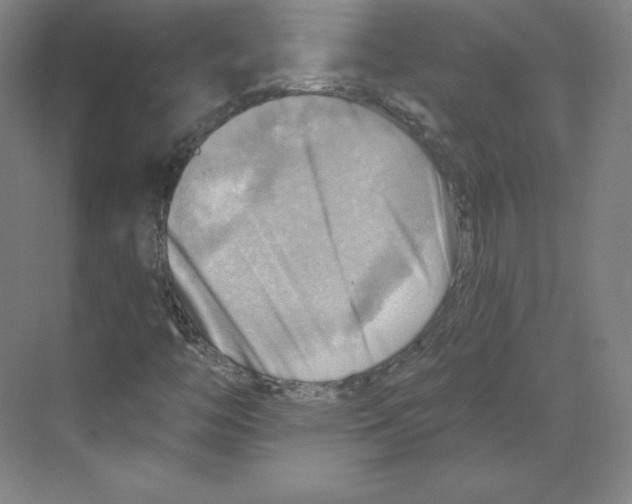 X0000068821446200606021604