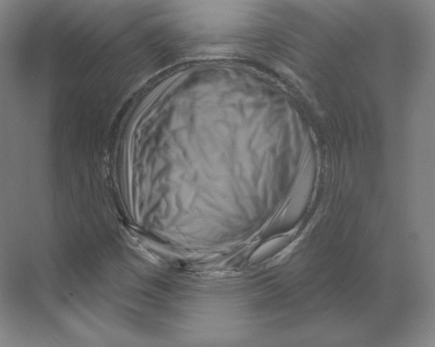 X0000068821449200606021604