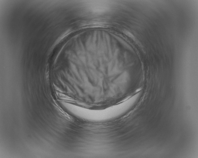 X0000068821450200606021604