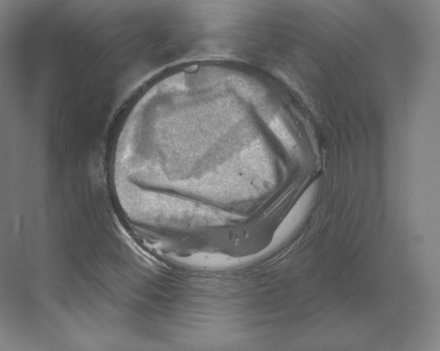 X0000068821452200606021604