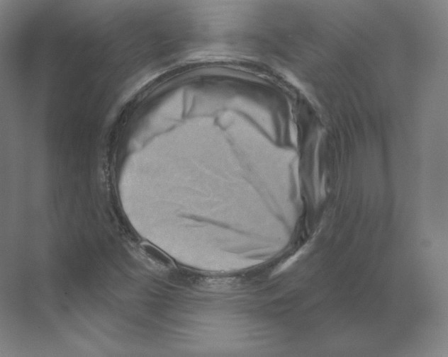 X0000068821453200606021604
