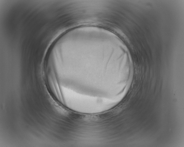 X0000068821466200606021604