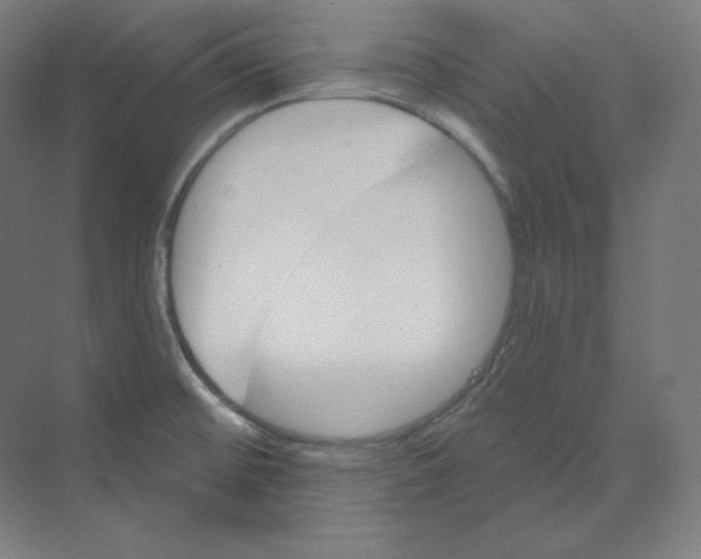 X0000068821476200606021604