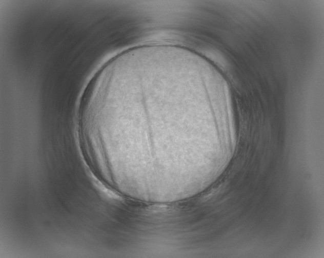 X0000068821478200606021604