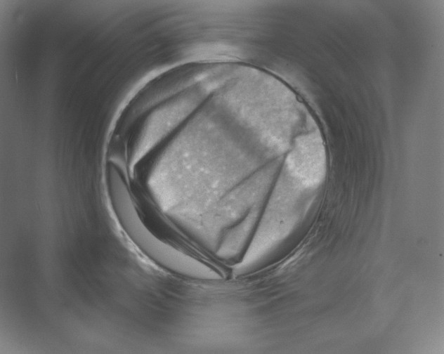 X0000068821488200606021604