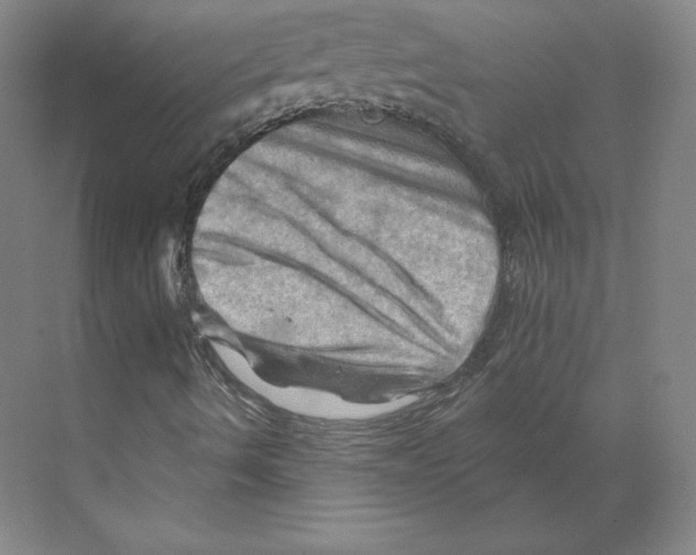 X0000068821490200606021603