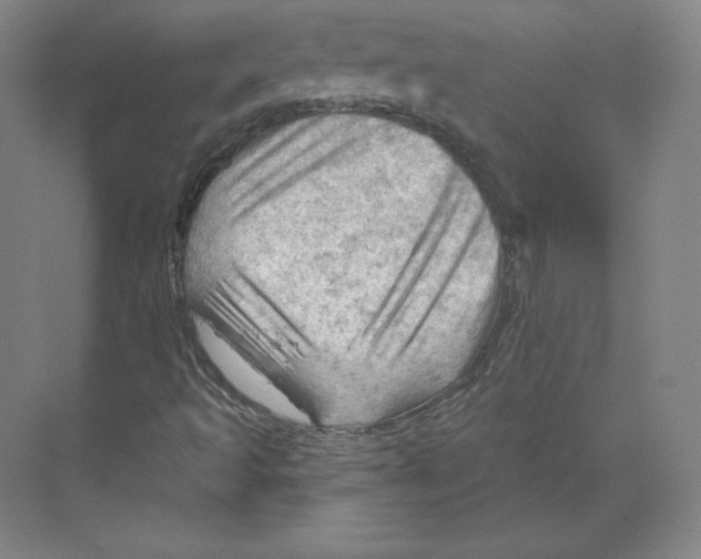 X0000068821493200606021603