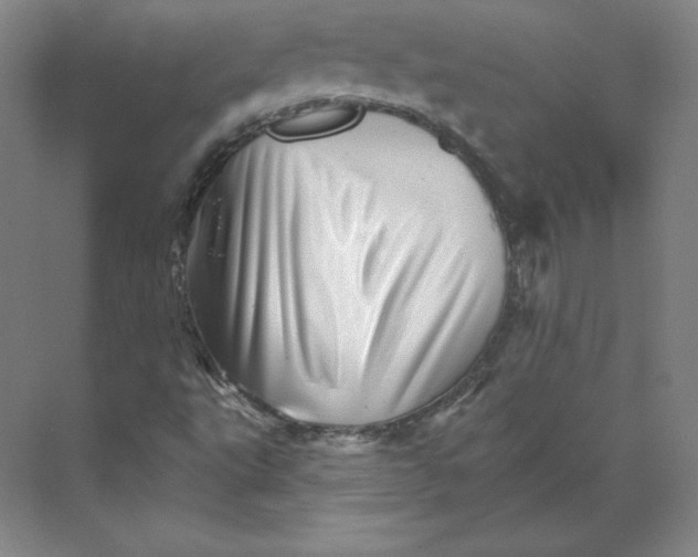 X0000068821495200606021603