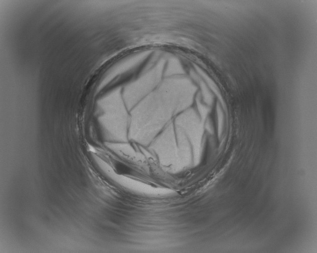 X0000068821497200606021603