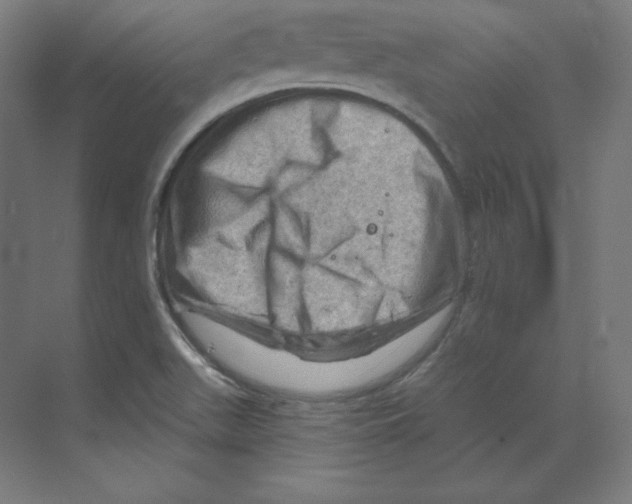 X0000068821511200606021603
