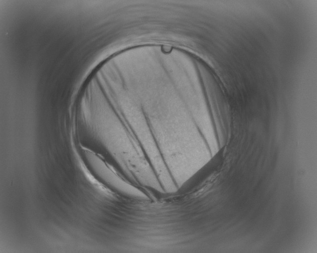 X0000068821515200606021603
