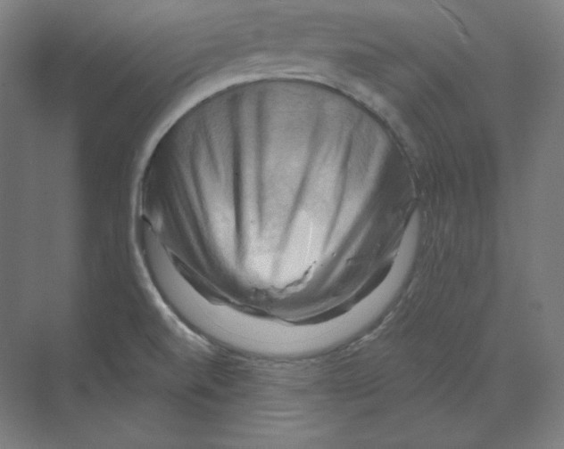 X0000068821520200606021603