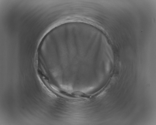 X0000068821522200606021604