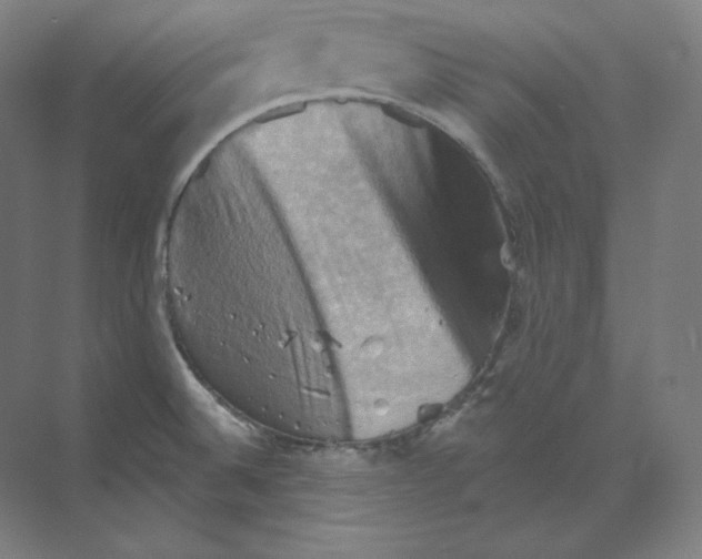 X0000068821524200606021604