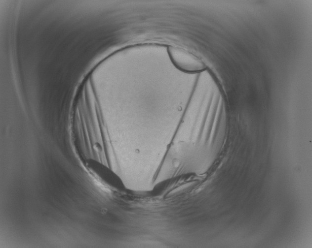 X0000068821525200606021604