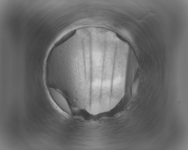 X0000068821528200606021604